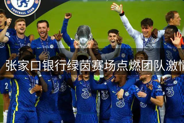 张家口银行绿茵赛场点燃团队激情 10支职工足球队鏖战竞技